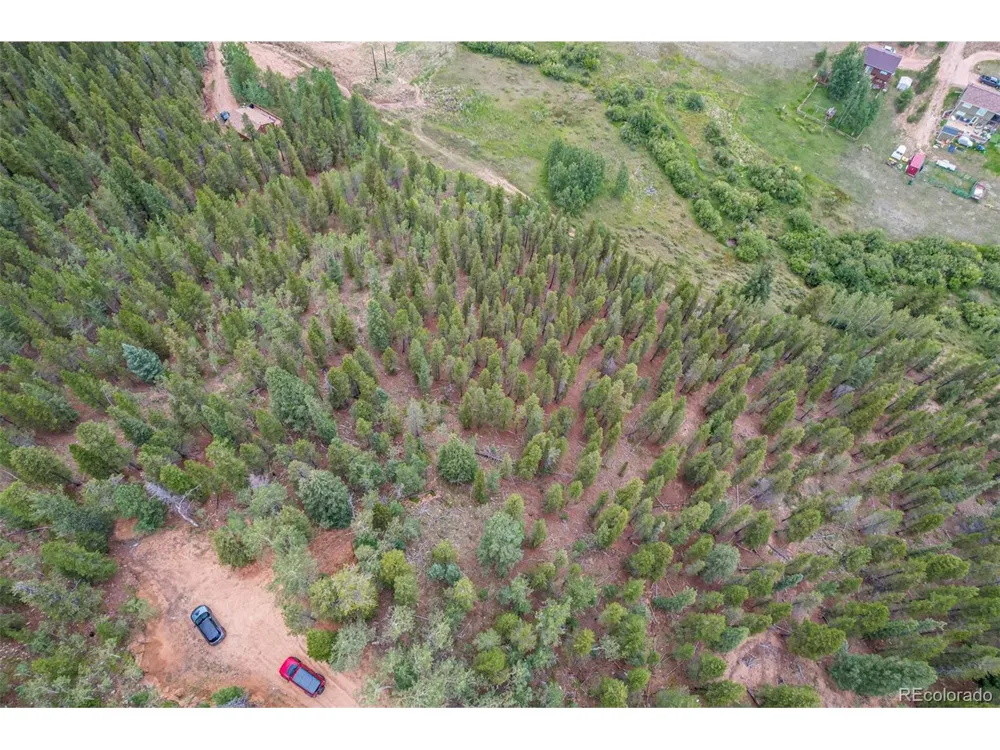 427 Wise Road Bailey, CO 80421