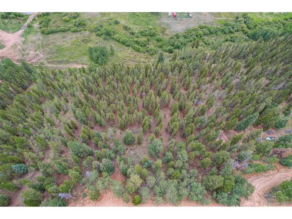 427 Wise Road Bailey, CO 80421