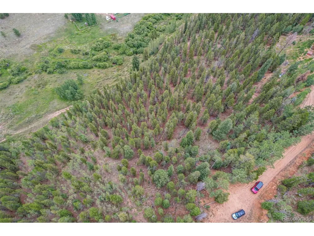 427 Wise Road Bailey, CO 80421