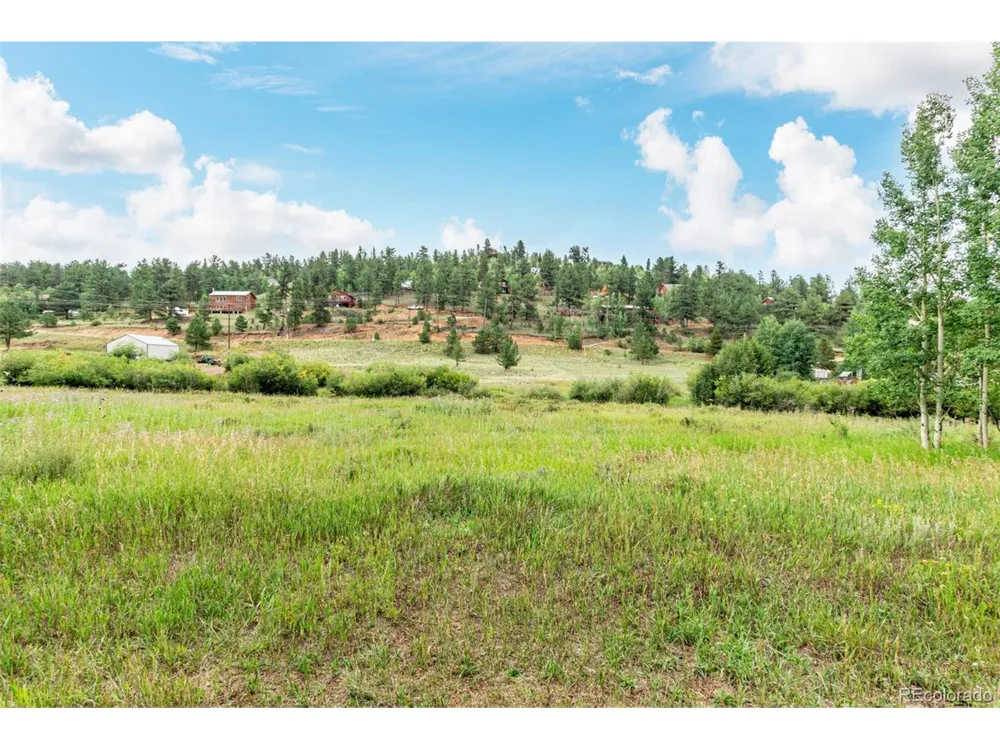 427 Wise Road Bailey, CO 80421