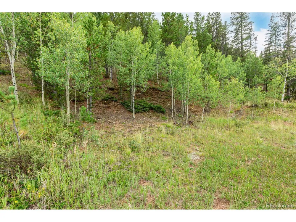 427 Wise Road Bailey, CO 80421