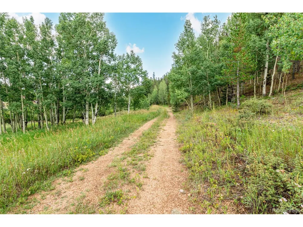 427 Wise Road Bailey, CO 80421
