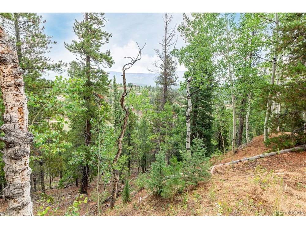 427 Wise Road Bailey, CO 80421