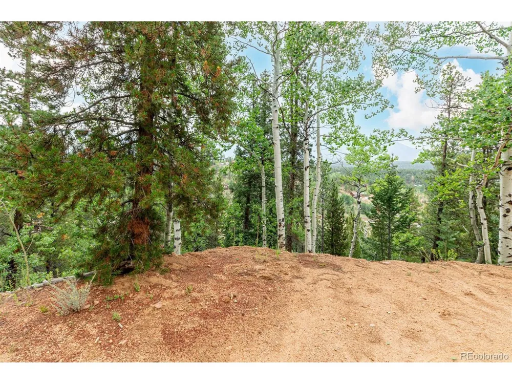 427 Wise Road Bailey, CO 80421