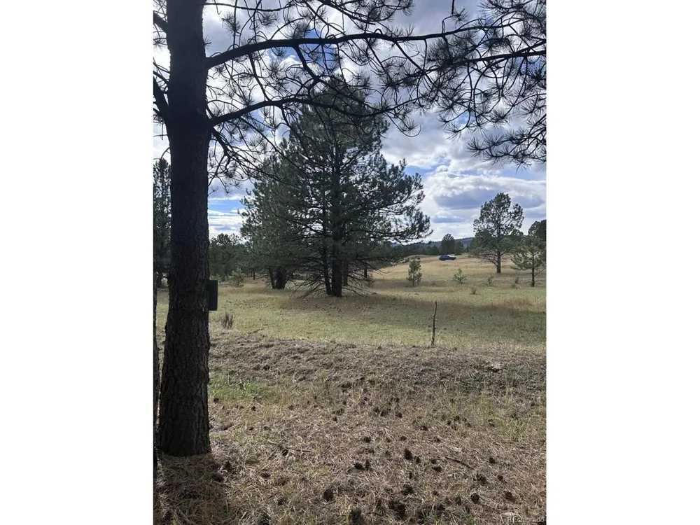 382 Arrowhead Drive Florissant, CO 80816