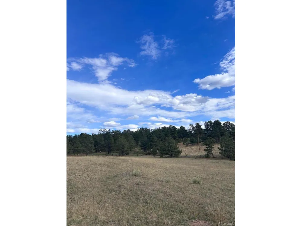 382 Arrowhead Drive Florissant, CO 80816