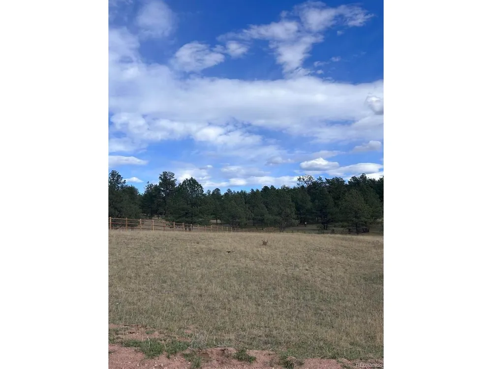382 Arrowhead Drive Florissant, CO 80816