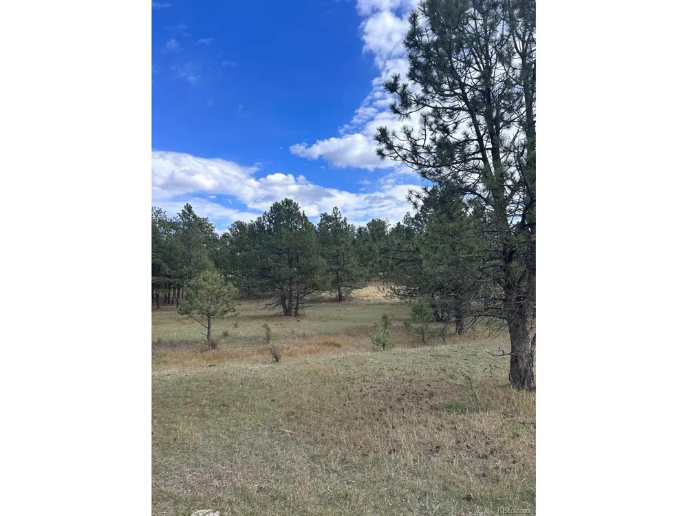 382 Arrowhead Drive Florissant, CO 80816