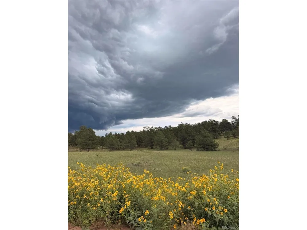 382 Arrowhead Drive Florissant, CO 80816