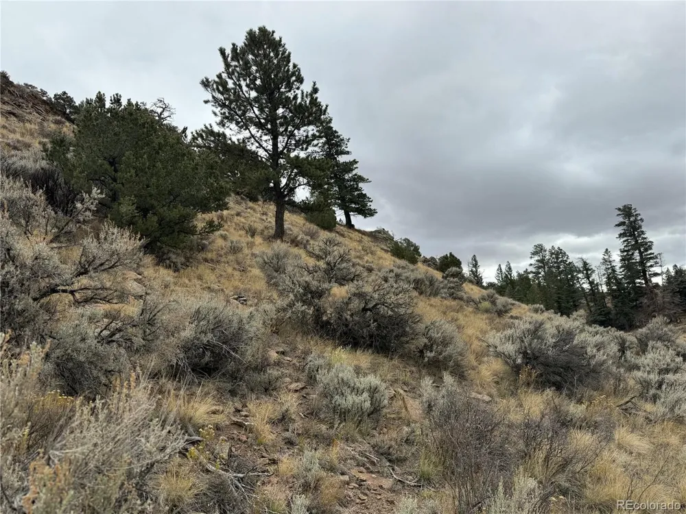 133 Griffiths Drive Fort Garland, CO 81133