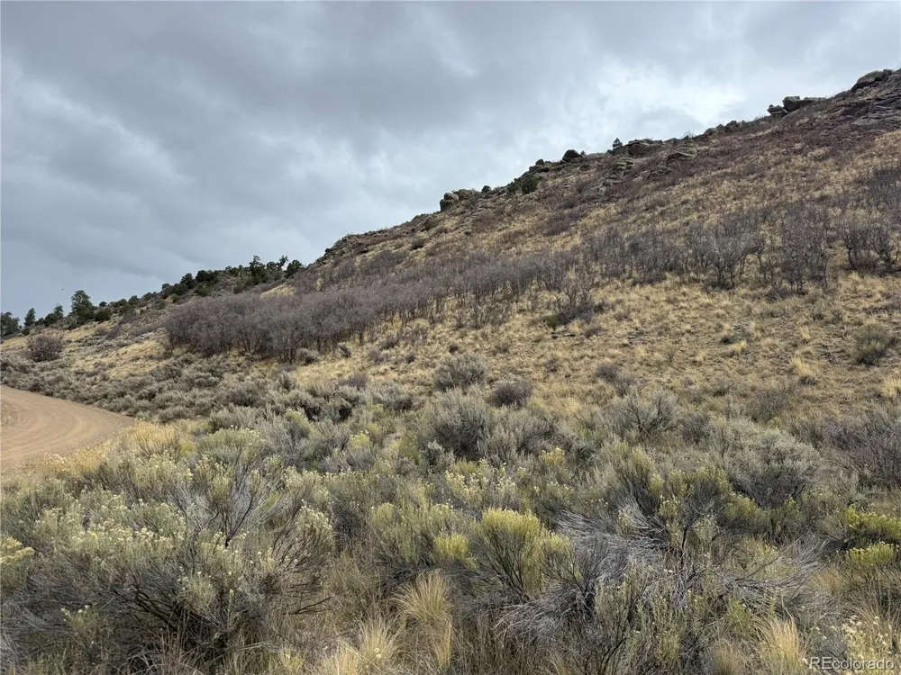 133 Griffiths Drive Fort Garland, CO 81133