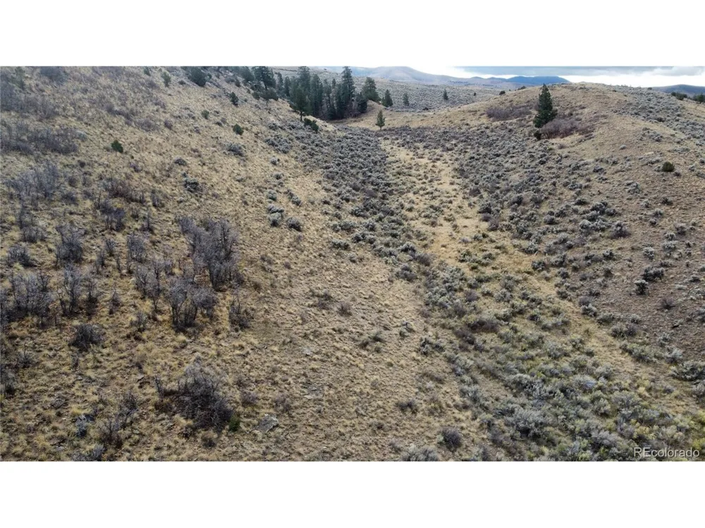 133 Griffiths Drive Fort Garland, CO 81133