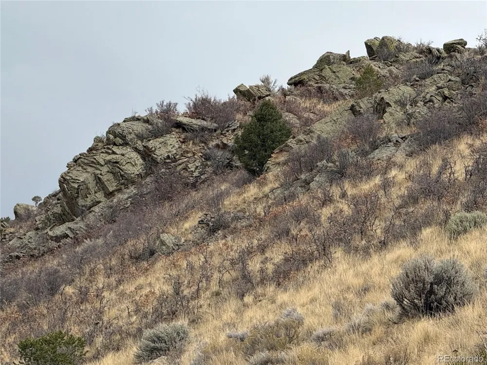 133 Griffiths Drive Fort Garland, CO 81133