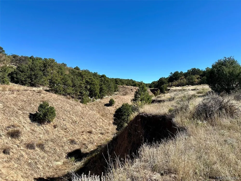 205 Hoofprint Court Walsenburg, CO 81089