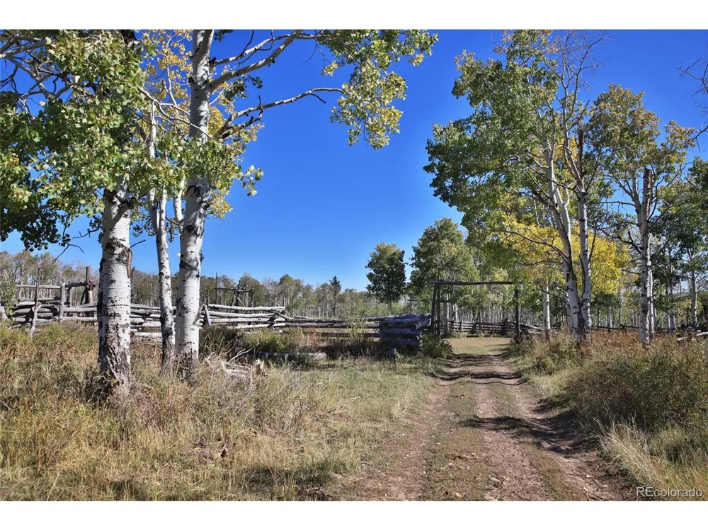 0 Divide Road Whitewater, CO 81527