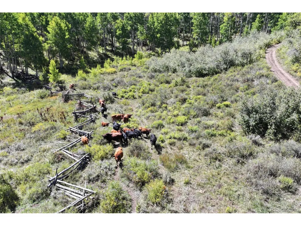 0 Divide Road Whitewater, CO 81527