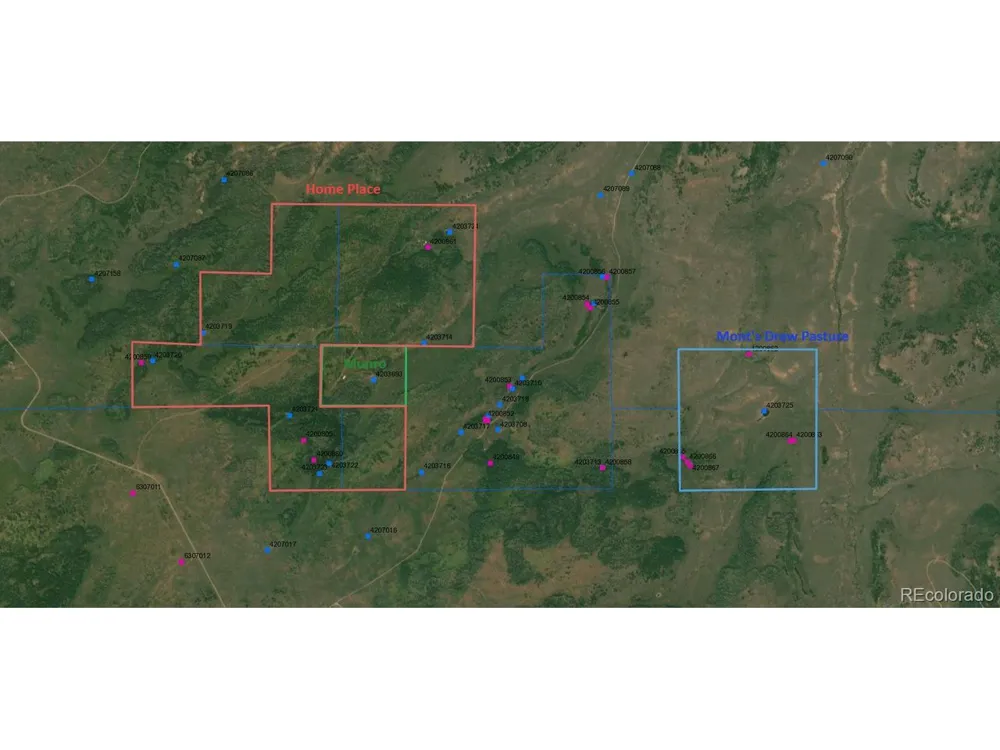0 Divide Road Whitewater, CO 81527