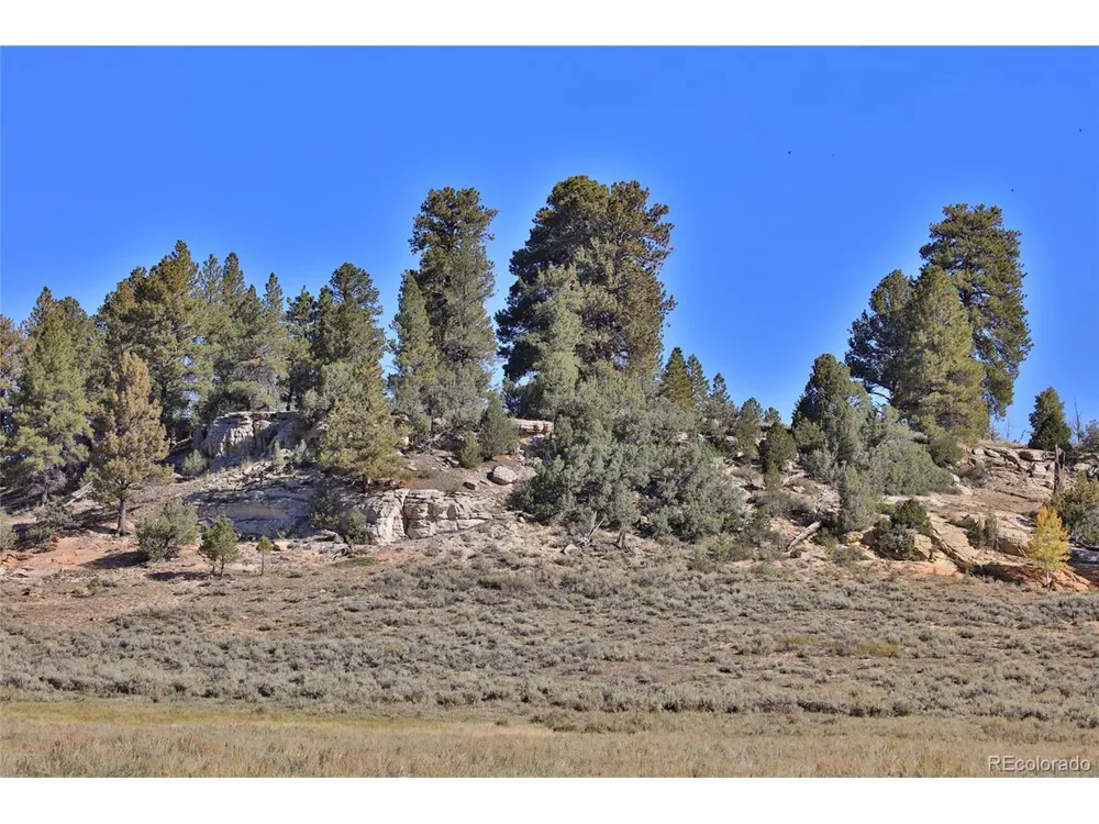 0 Divide Road Whitewater, CO 81527