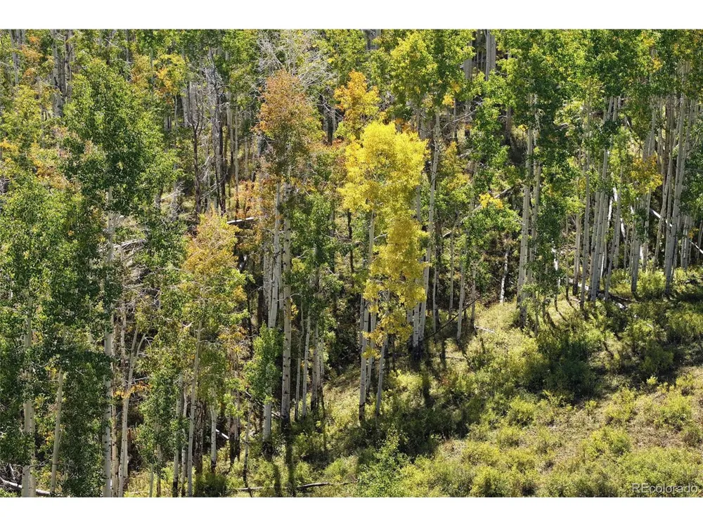 0 Divide Road Whitewater, CO 81527