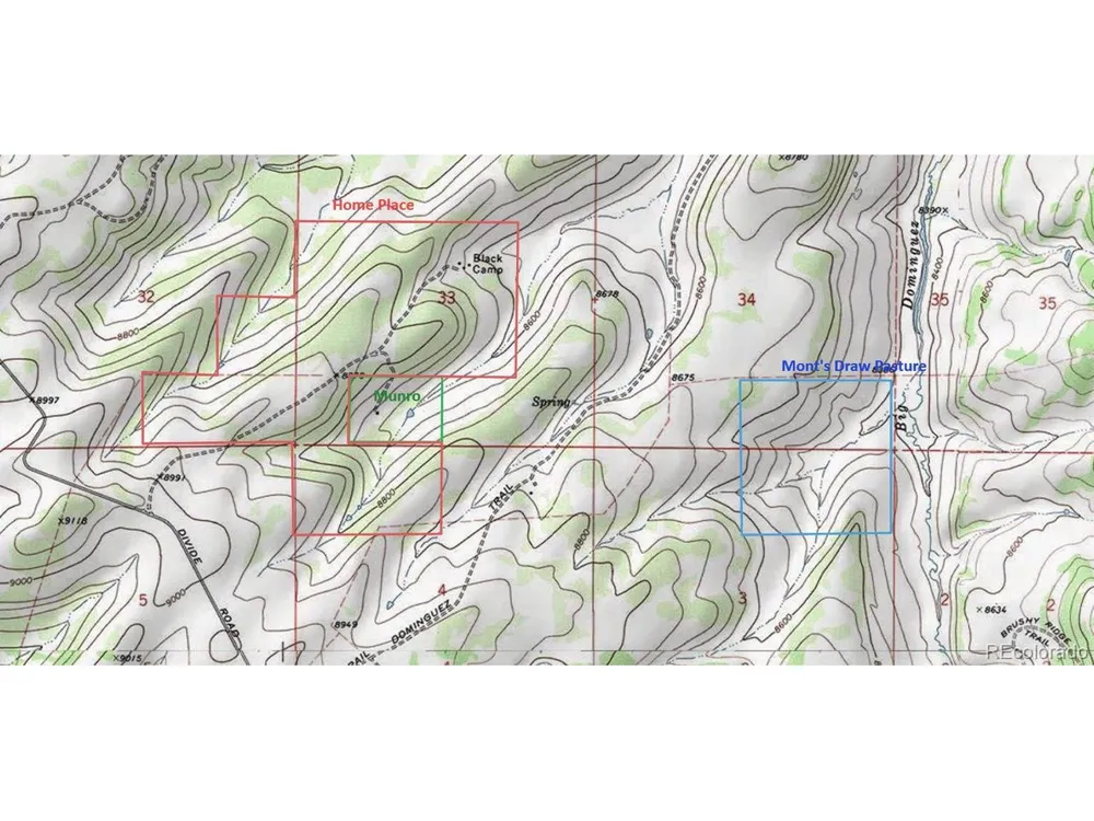 0 Divide Road Whitewater, CO 81527