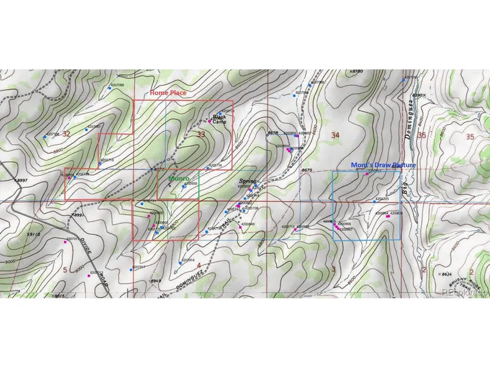 0 Divide Road Whitewater, CO 81527