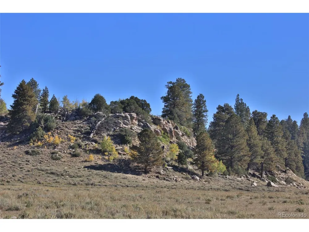 0 Divide Road Whitewater, CO 81527