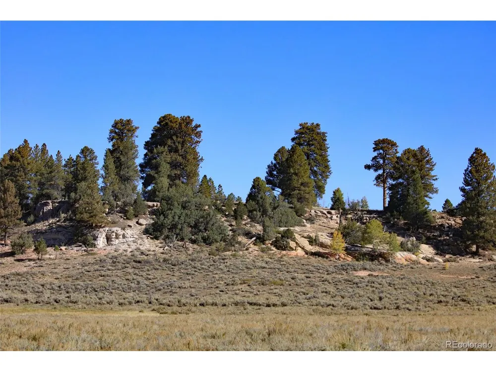 0 Divide Road Whitewater, CO 81527