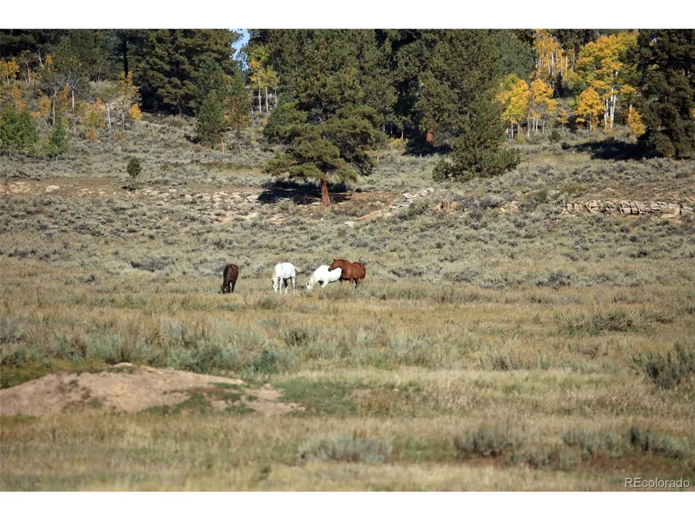0 Divide Road Whitewater, CO 81527
