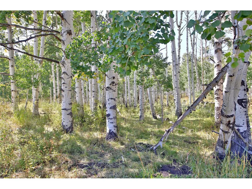0 Divide Road Whitewater, CO 81527