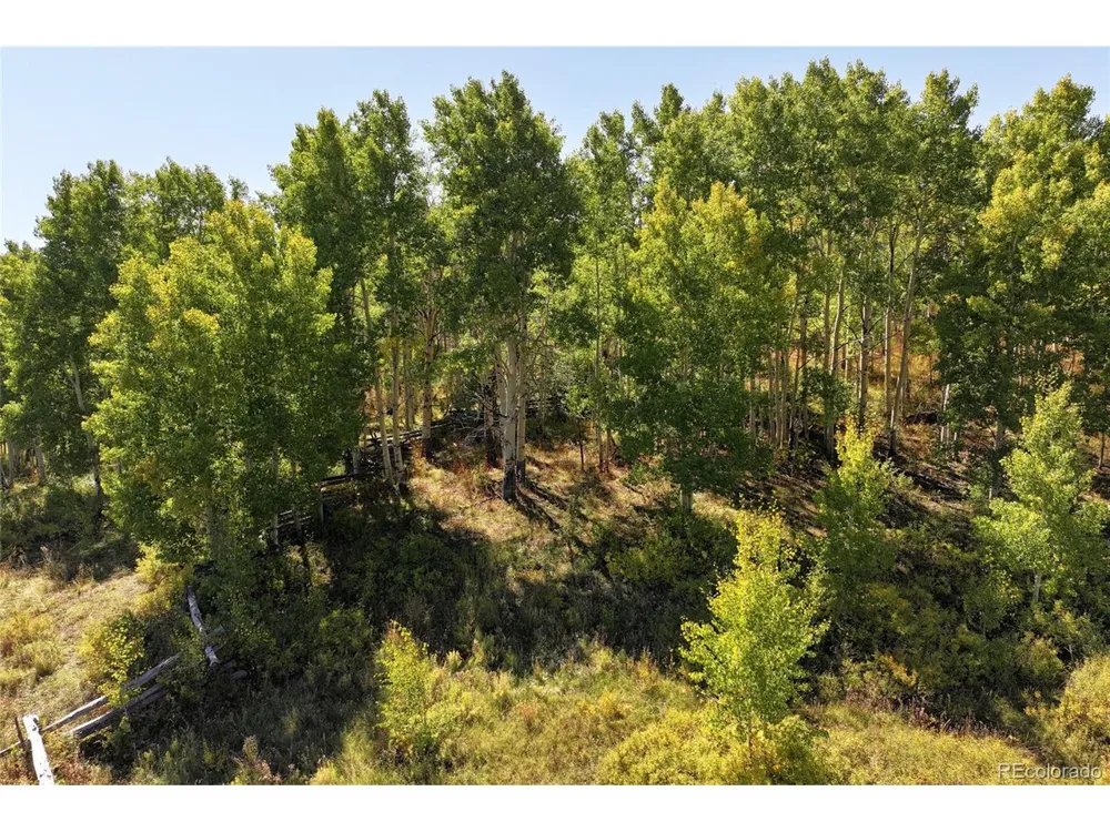 0 Divide Road Whitewater, CO 81527