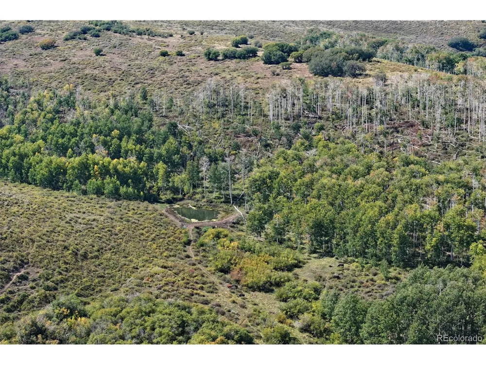 0 Divide Road Whitewater, CO 81527