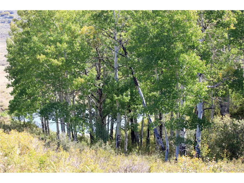 0 Divide Road Whitewater, CO 81527