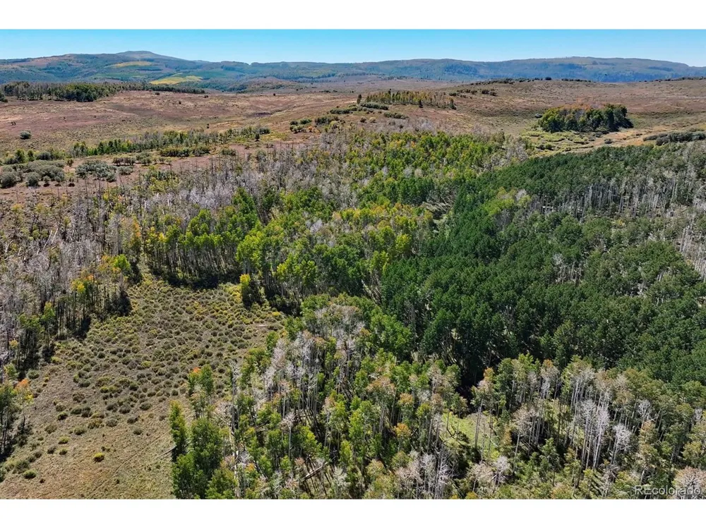 0 Divide Road Whitewater, CO 81527
