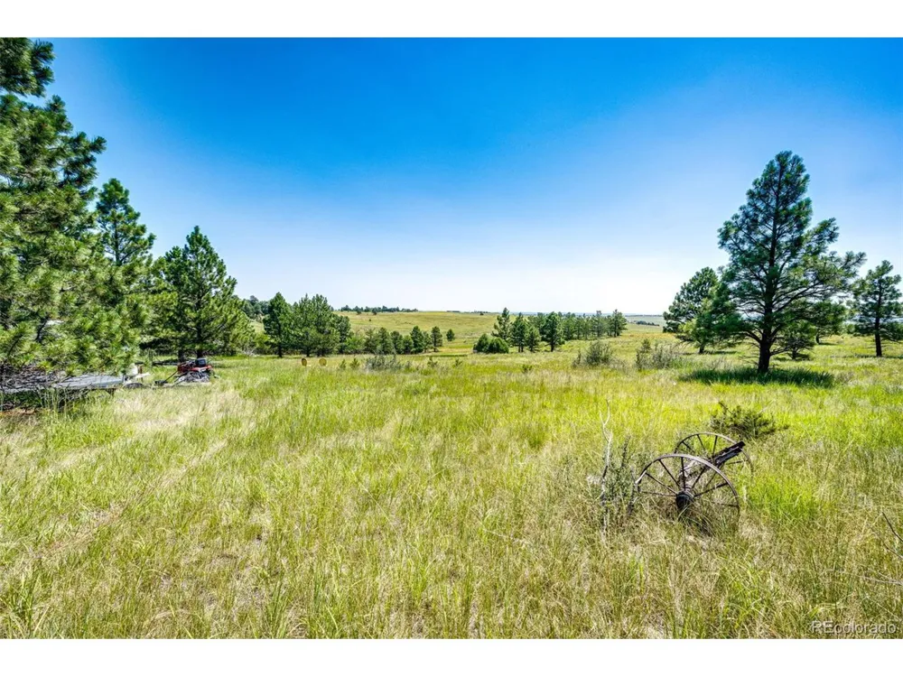 13123 Wilderness Drive Kiowa, CO 80117