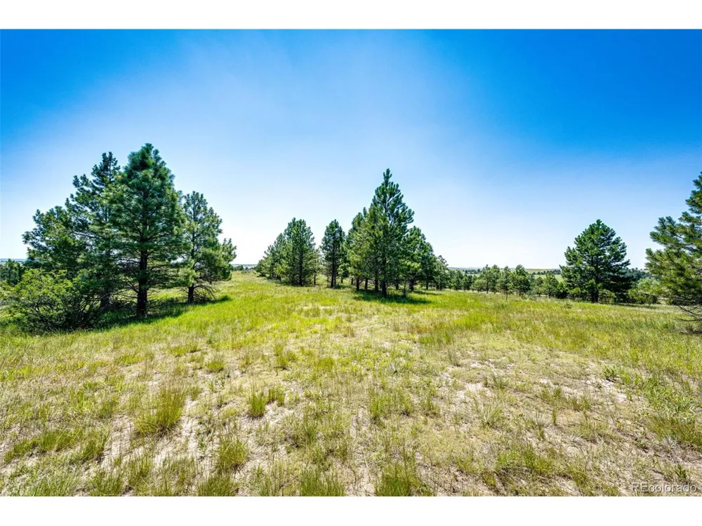 13123 Wilderness Drive Kiowa, CO 80117