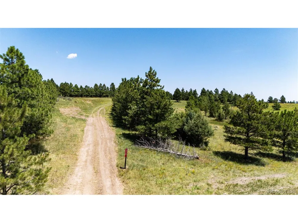 13123 Wilderness Drive Kiowa, CO 80117