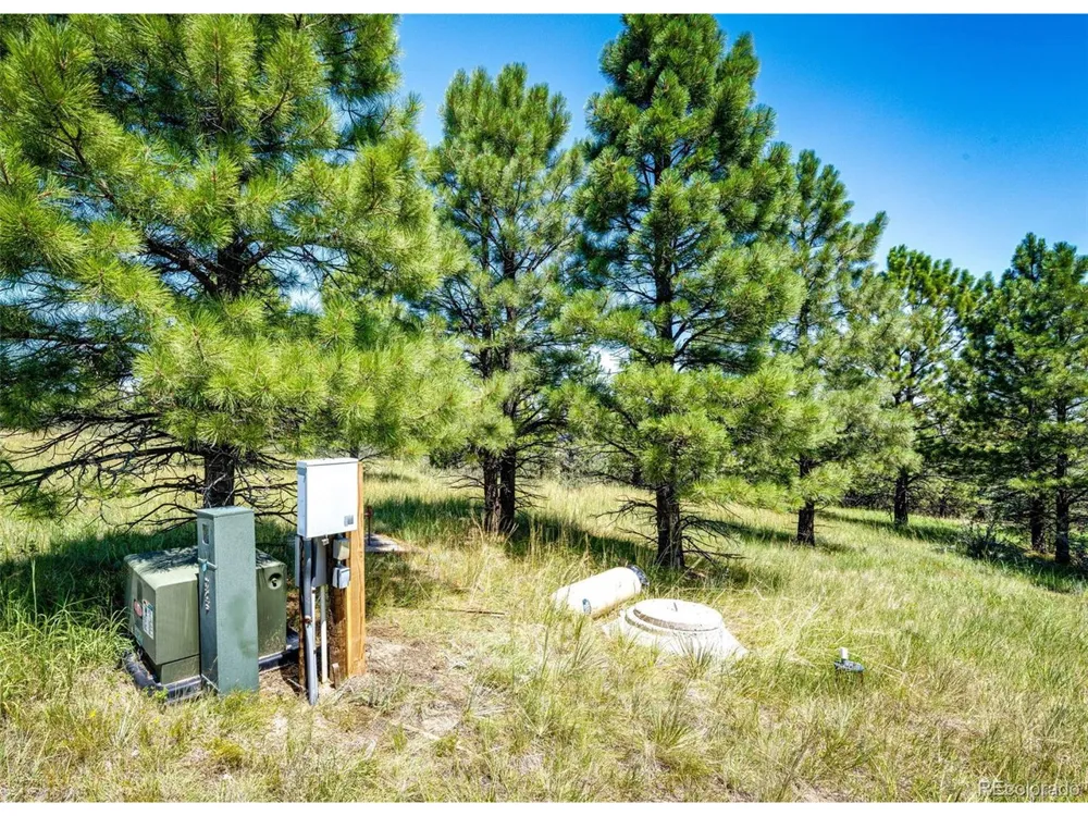 13123 Wilderness Drive Kiowa, CO 80117