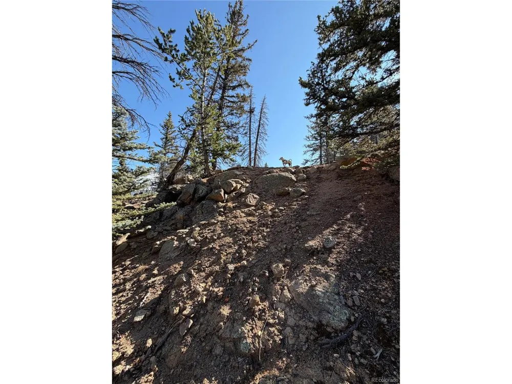 2201 Overland Circle Jefferson, CO 80456