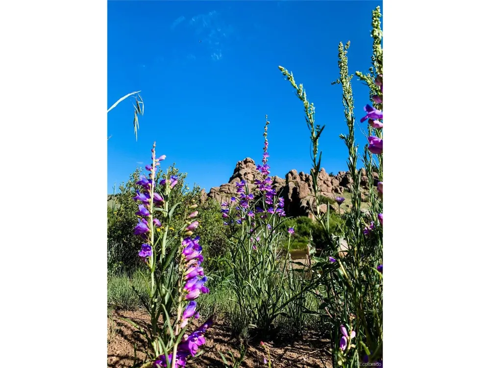 2201 Overland Circle Jefferson, CO 80456