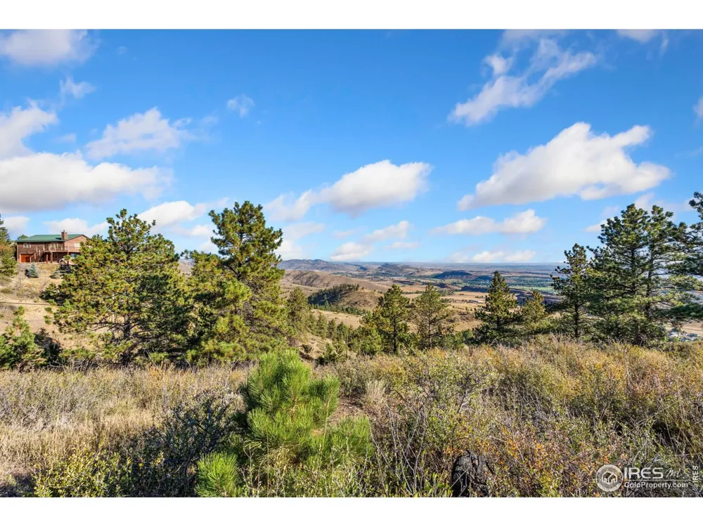 6508 Jackpine Drive Bellvue, CO 80512