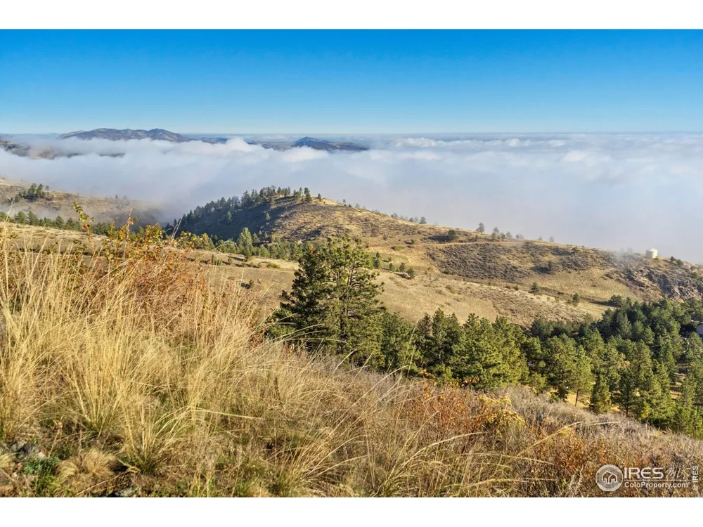 6508 Jackpine Drive Bellvue, CO 80512