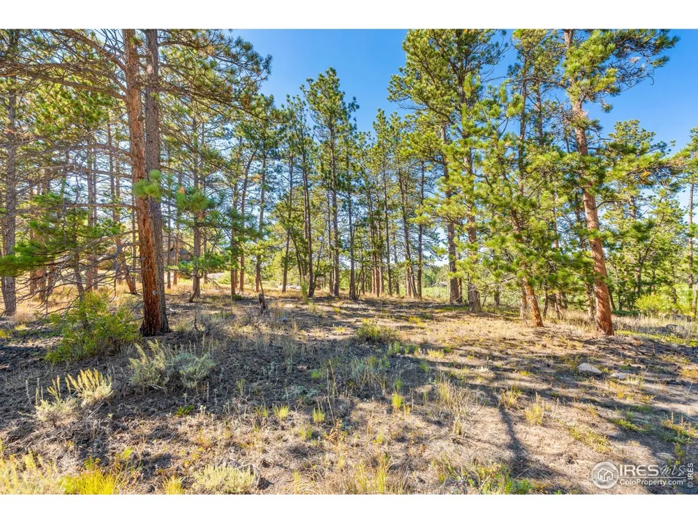 70 Northwoods Drive Red Feather Lakes, CO 80545