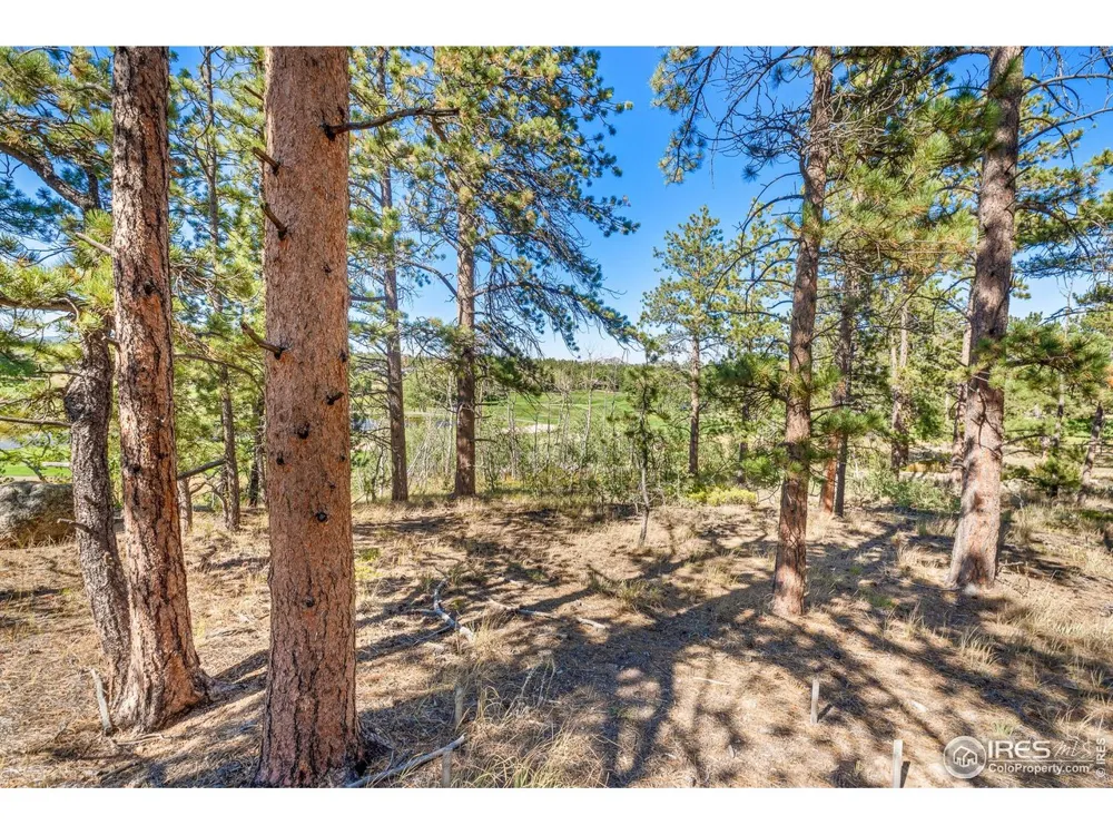 70 Northwoods Drive Red Feather Lakes, CO 80545