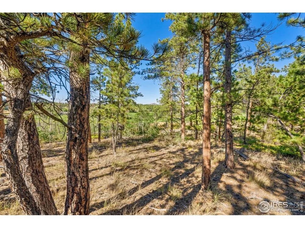 70 Northwoods Drive Red Feather Lakes, CO 80545