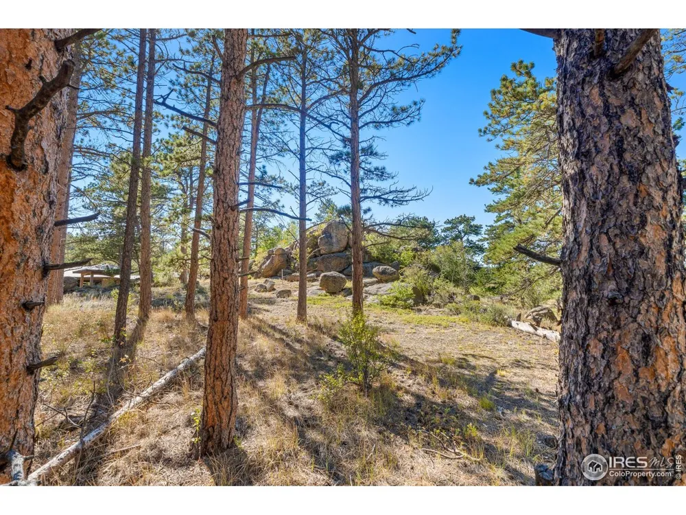 70 Northwoods Drive Red Feather Lakes, CO 80545