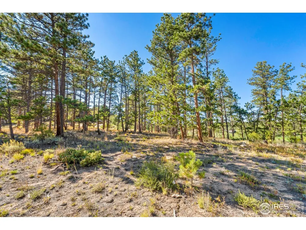 70 Northwoods Drive Red Feather Lakes, CO 80545