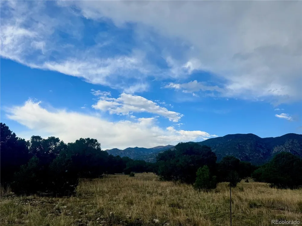 15 Clear Brook Place Mosca, CO 81146