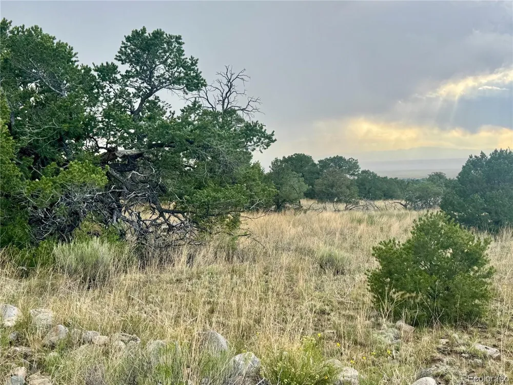 15 Clear Brook Place Mosca, CO 81146