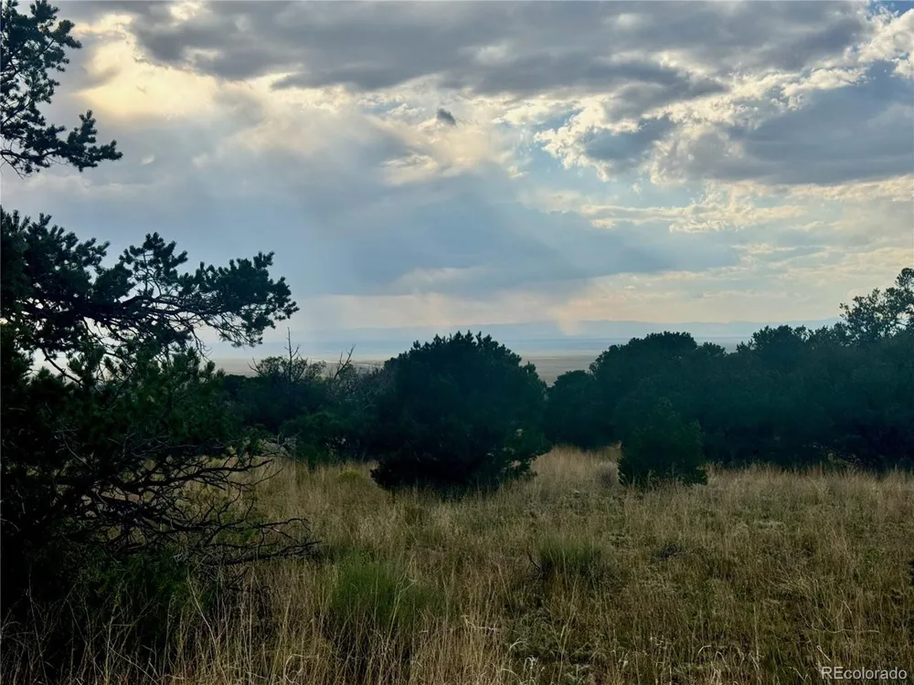 15 Clear Brook Place Mosca, CO 81146
