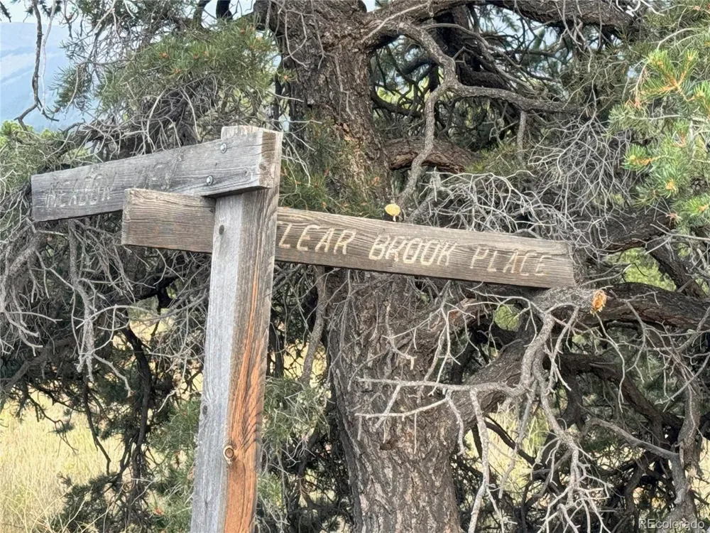 15 Clear Brook Place Mosca, CO 81146